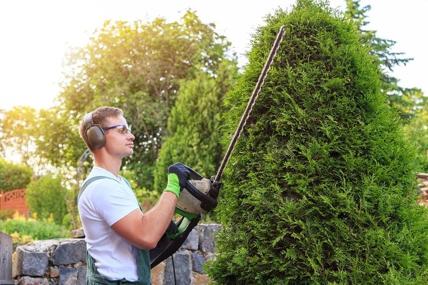 Gartenpflege Wien