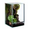 Terrarium